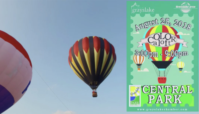 The Grayslake IL 6th Annual Color Aloft Balloon Festival 3D Model